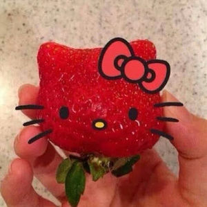 Meet your Posher, Angelica